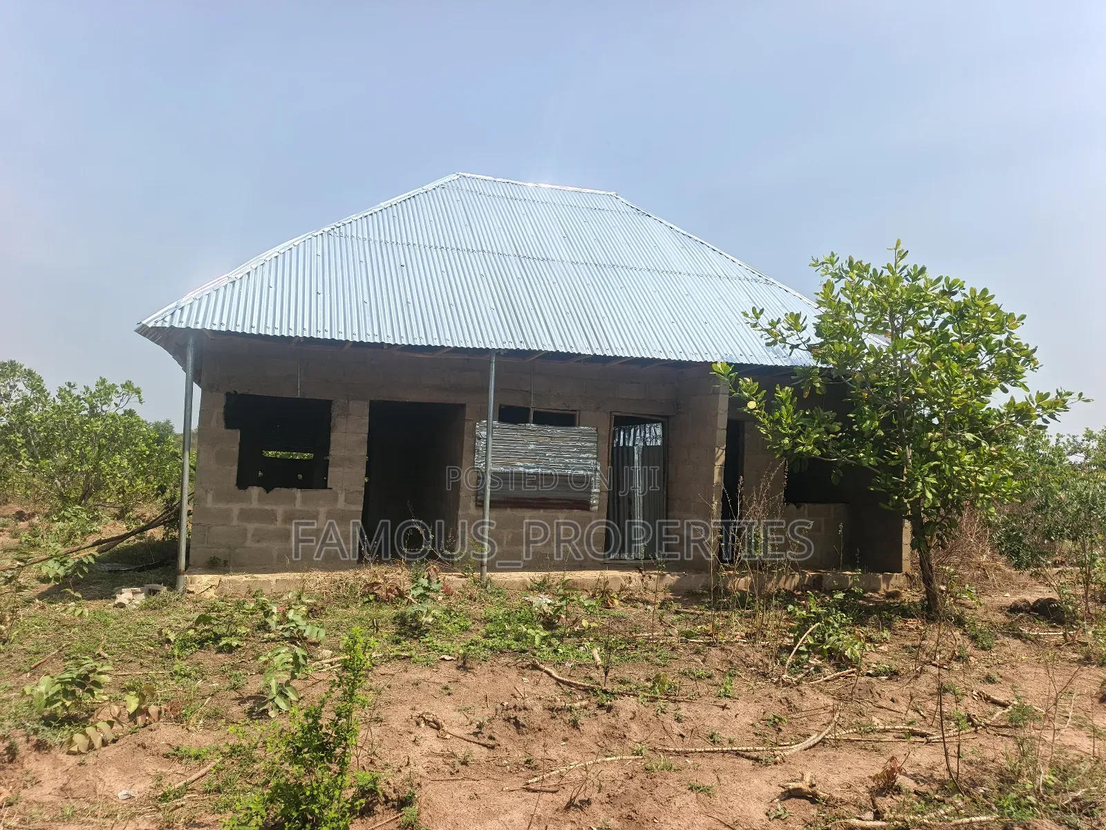 Cashew Farm for Sale in Ilorin West