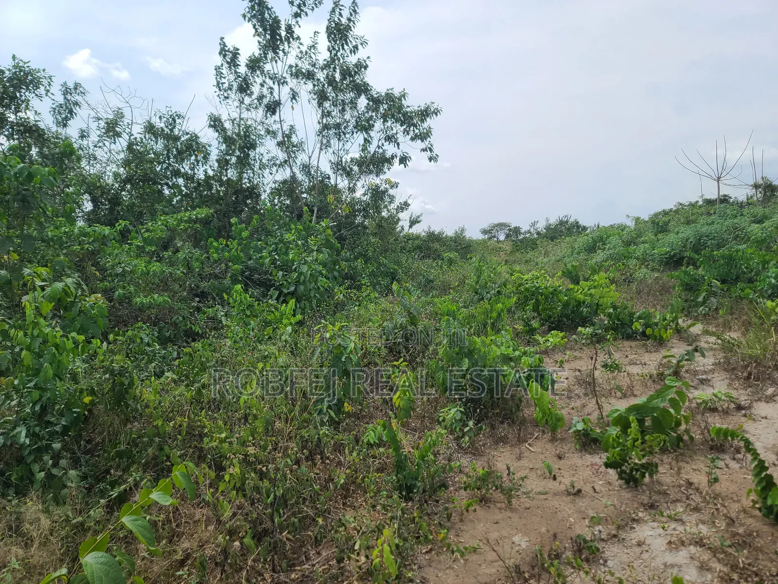 Poka Epe Upland in Epe