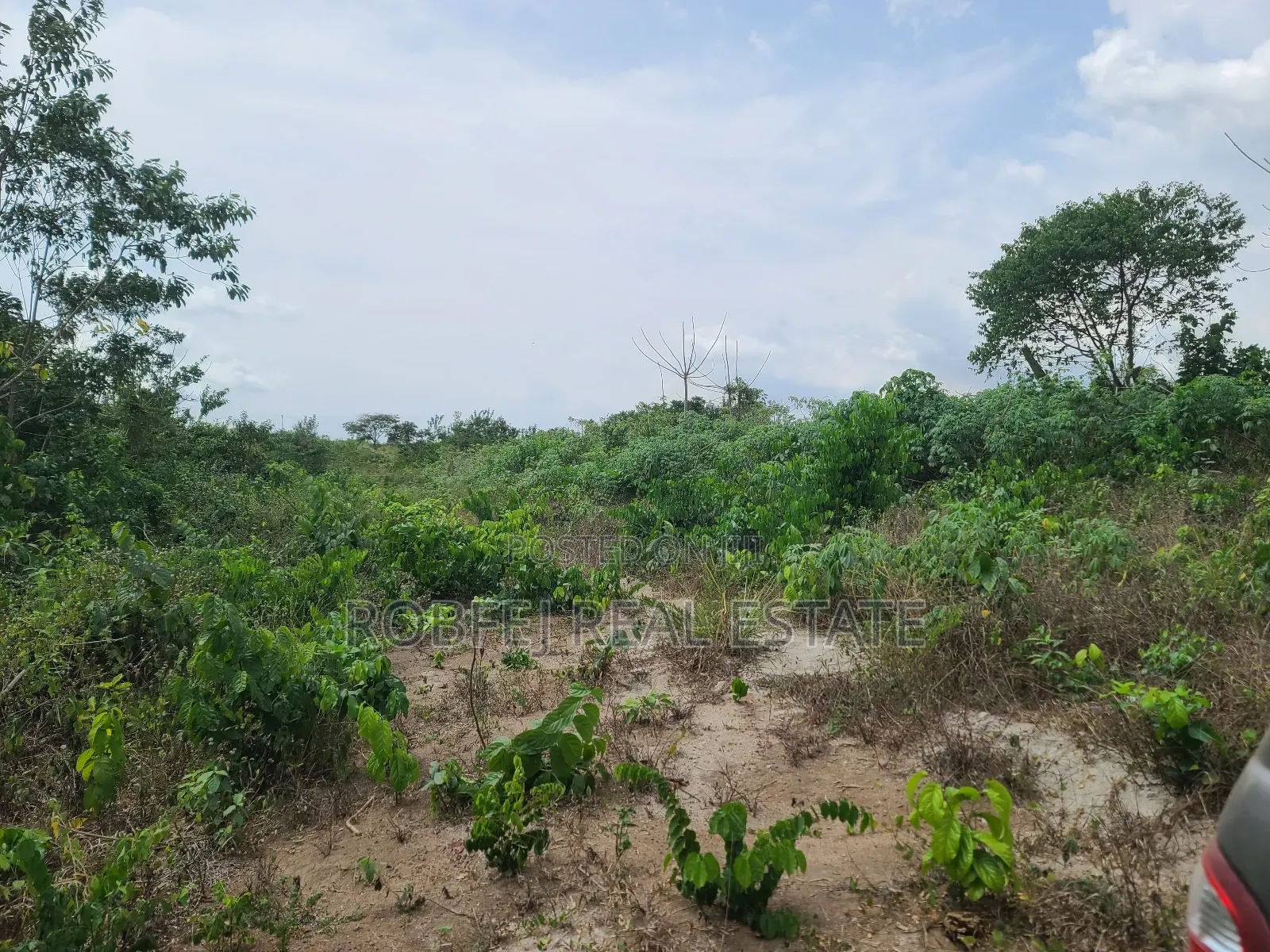 Poka Epe Upland in Epe