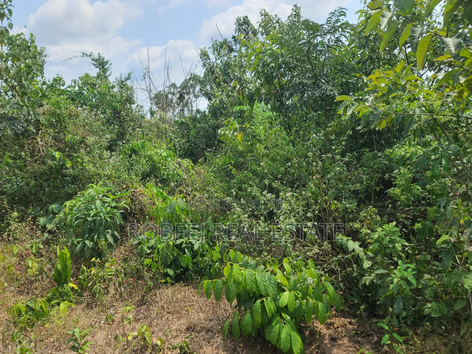 Poka Epe Upland in Epe