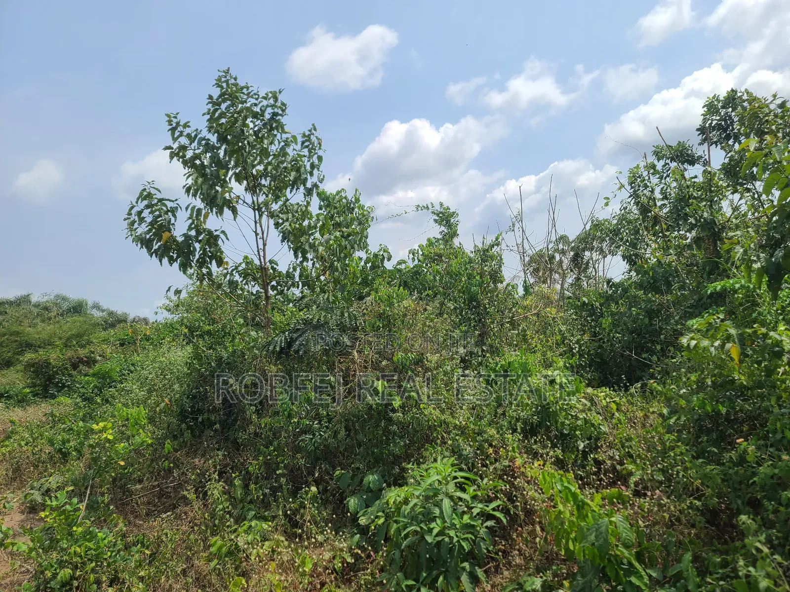 Poka Epe Upland in Epe