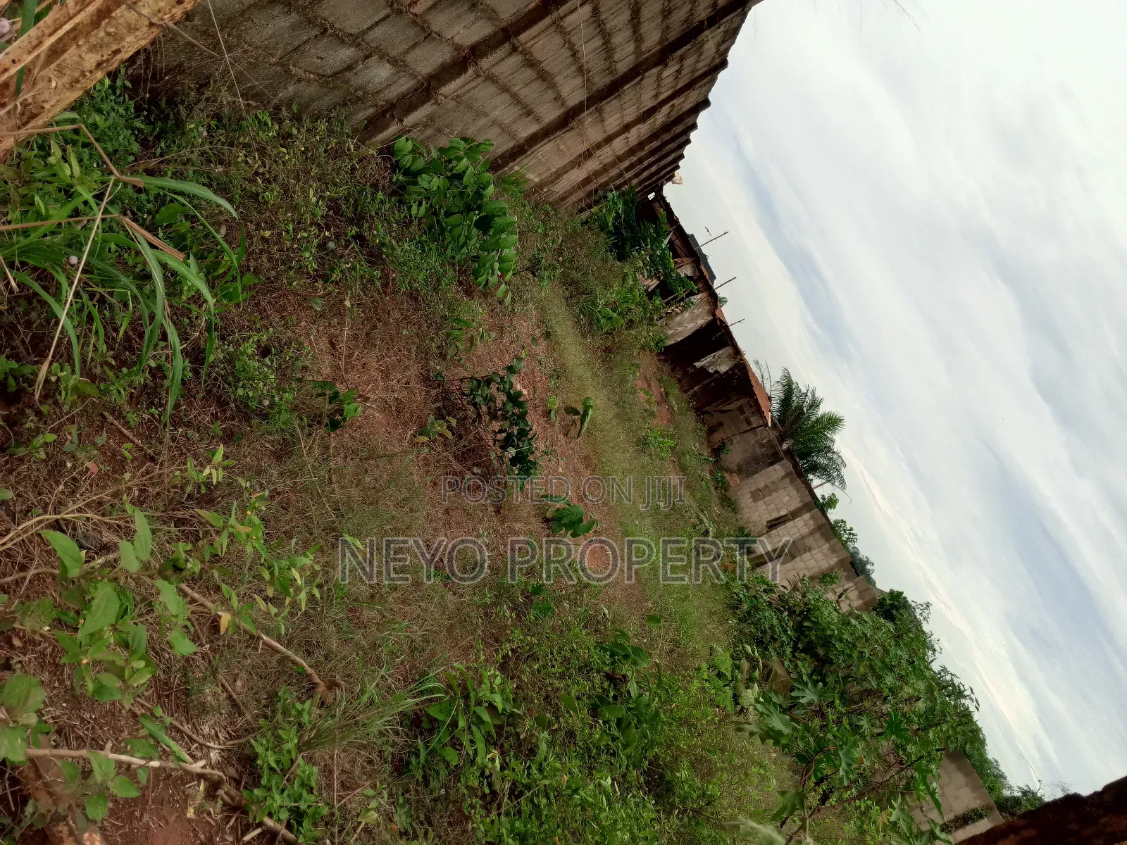 Family Deed Bj in Igbogbo