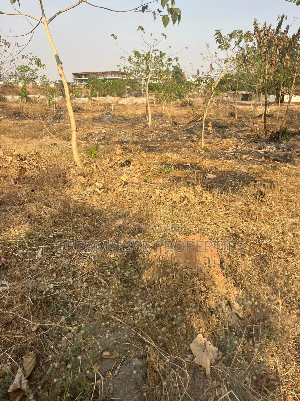 Fcda Cof O Document in Jabi