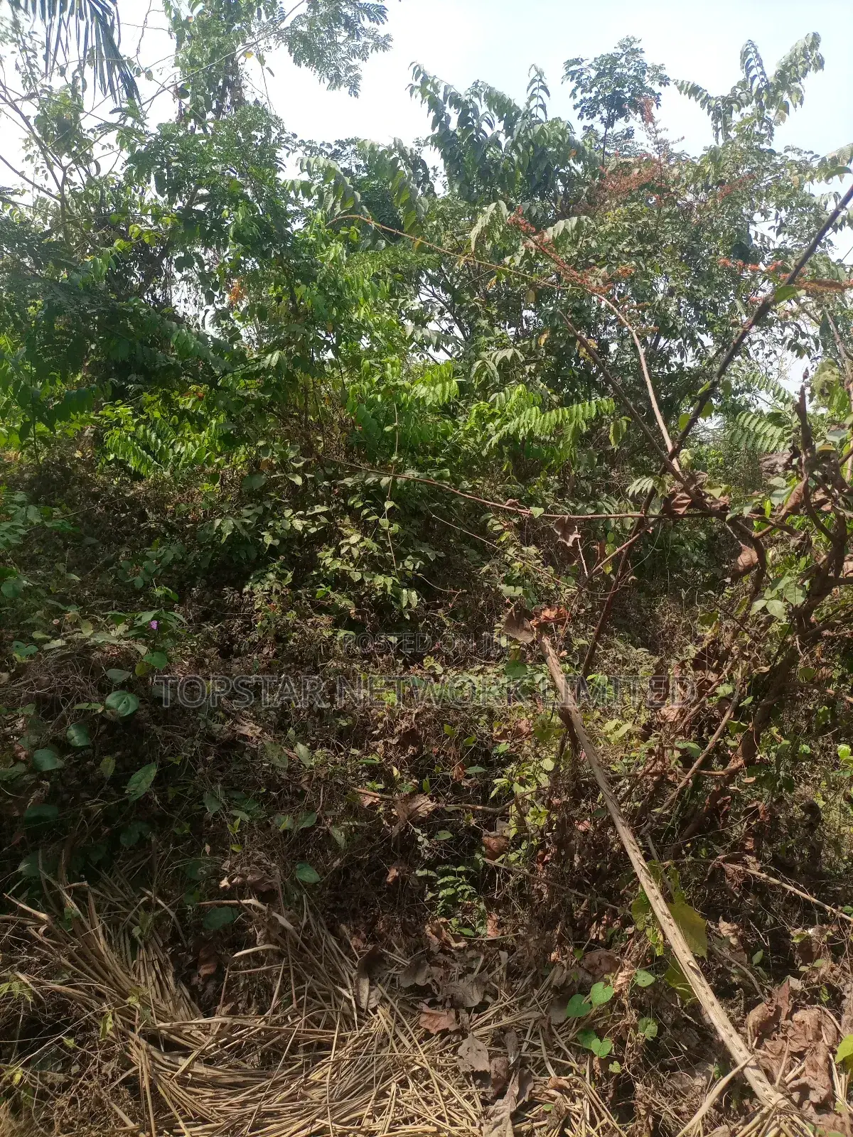 Acres Available for Sale in Ibadan in Ibadan