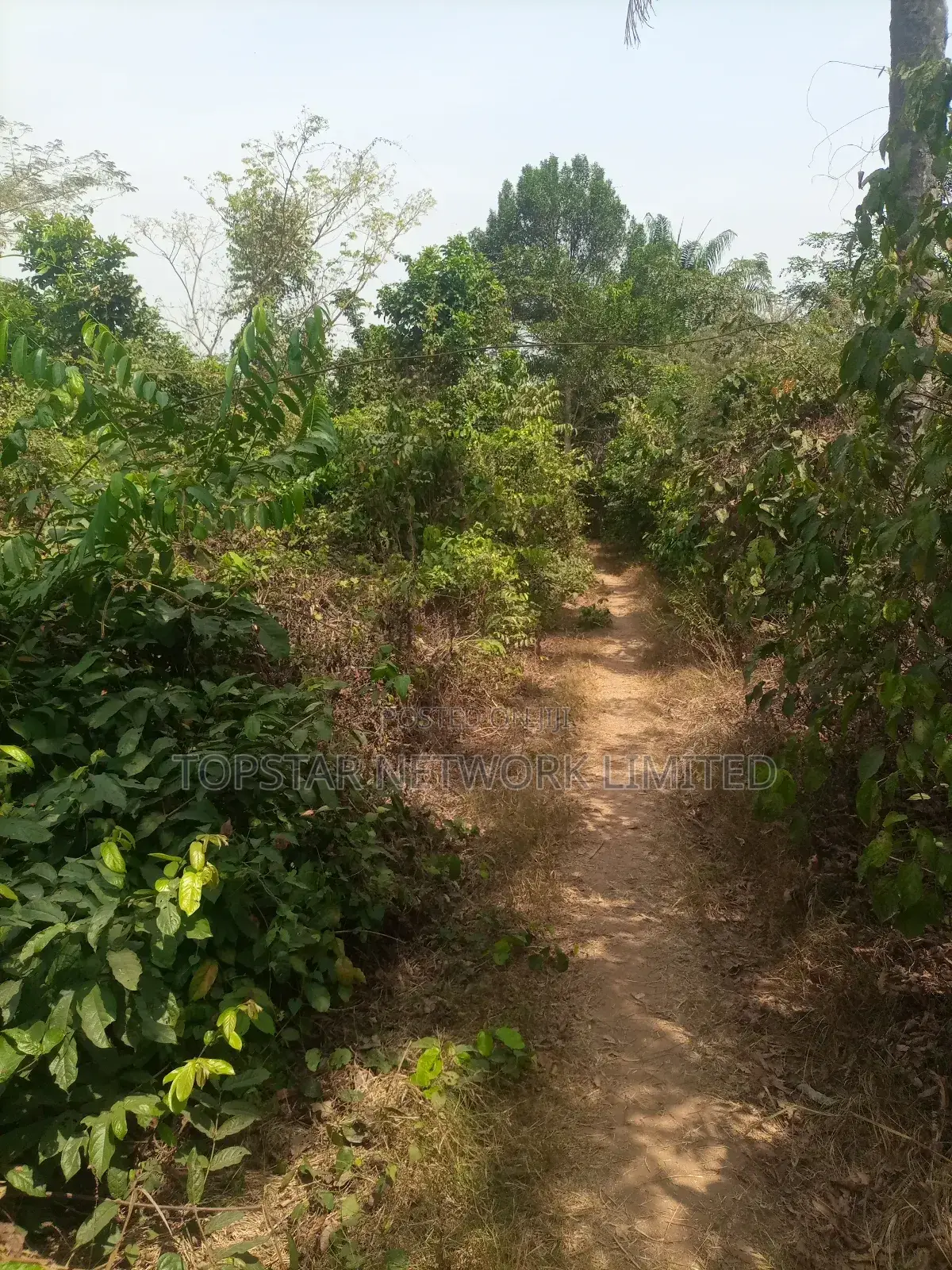 Acres Available for Sale in Ibadan in Ibadan