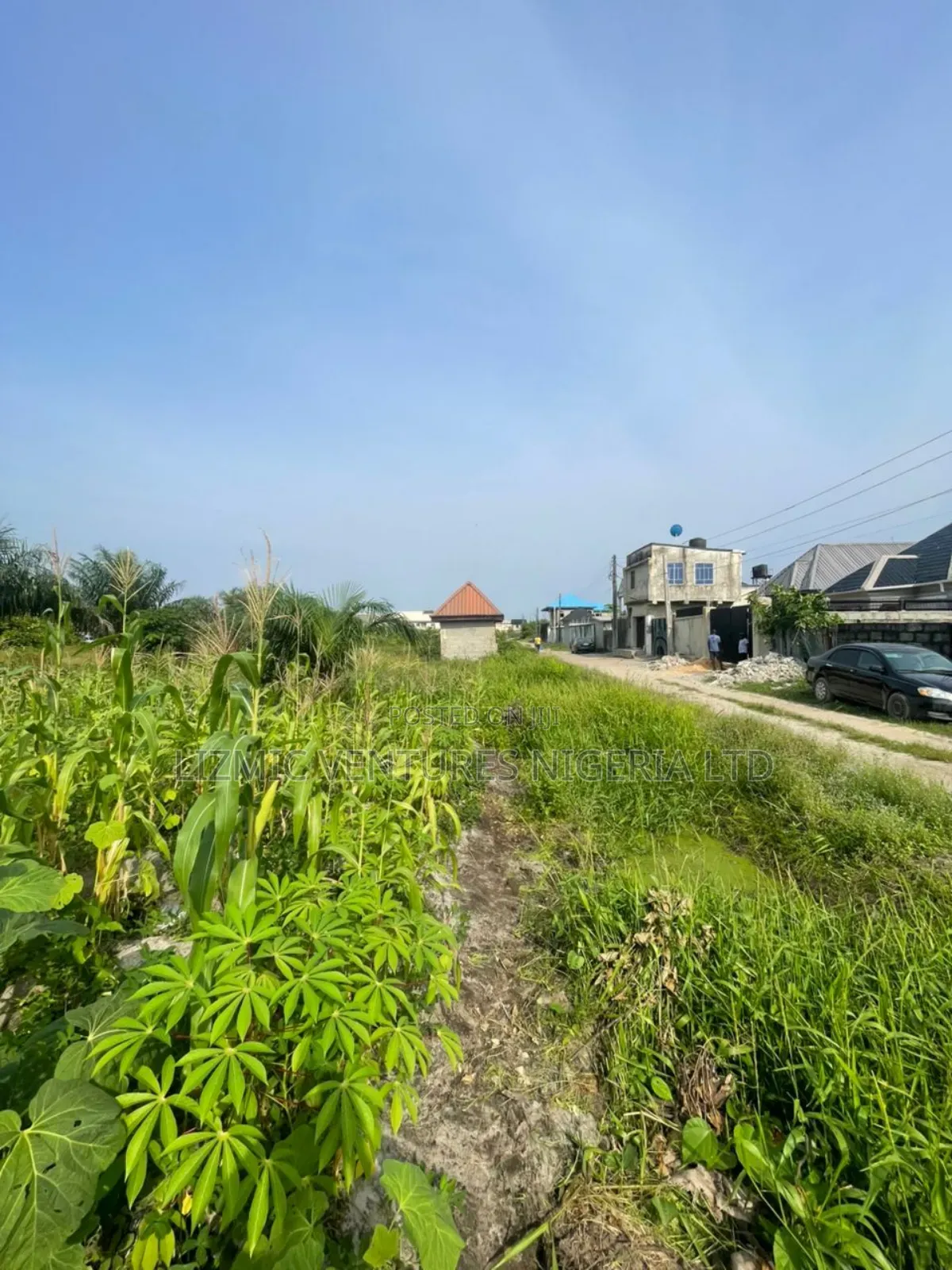 11 Plots Together With C of O in Abijo