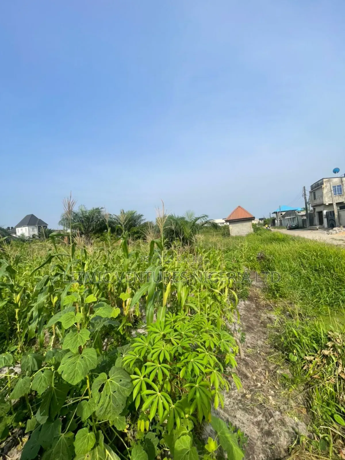 11 Plots Together With C of O in Abijo