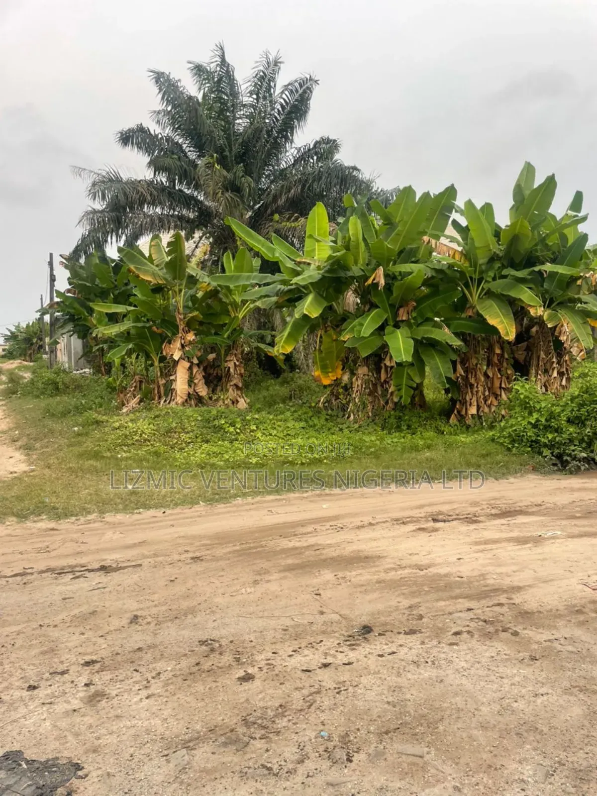 Land for Sale in Lekki Expressway