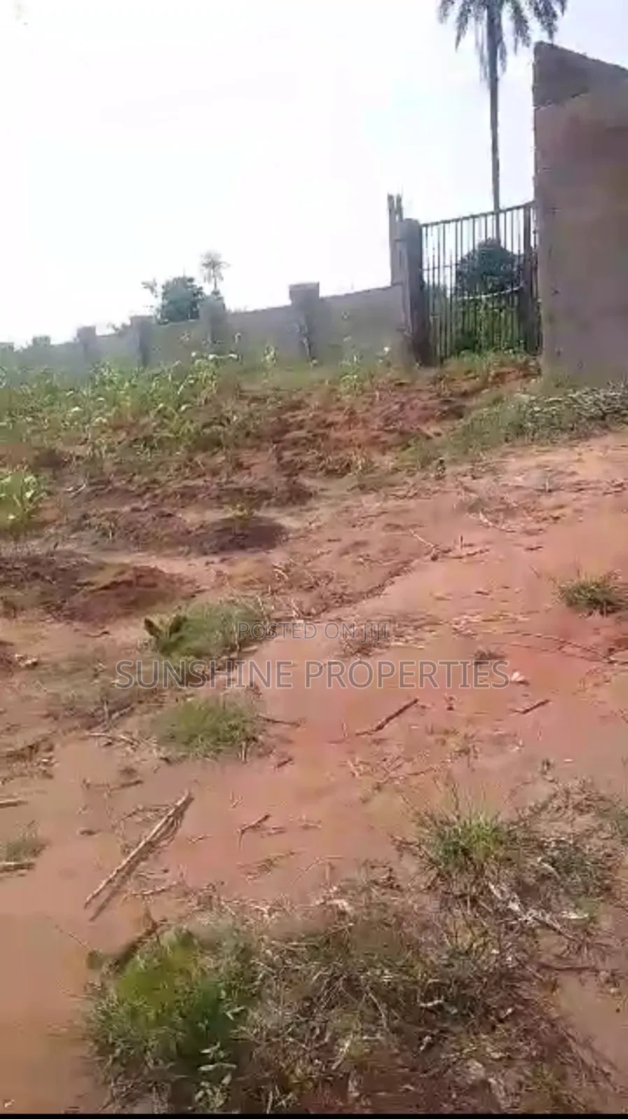 Affordable and Genuine Land in Asaba in Aniocha North