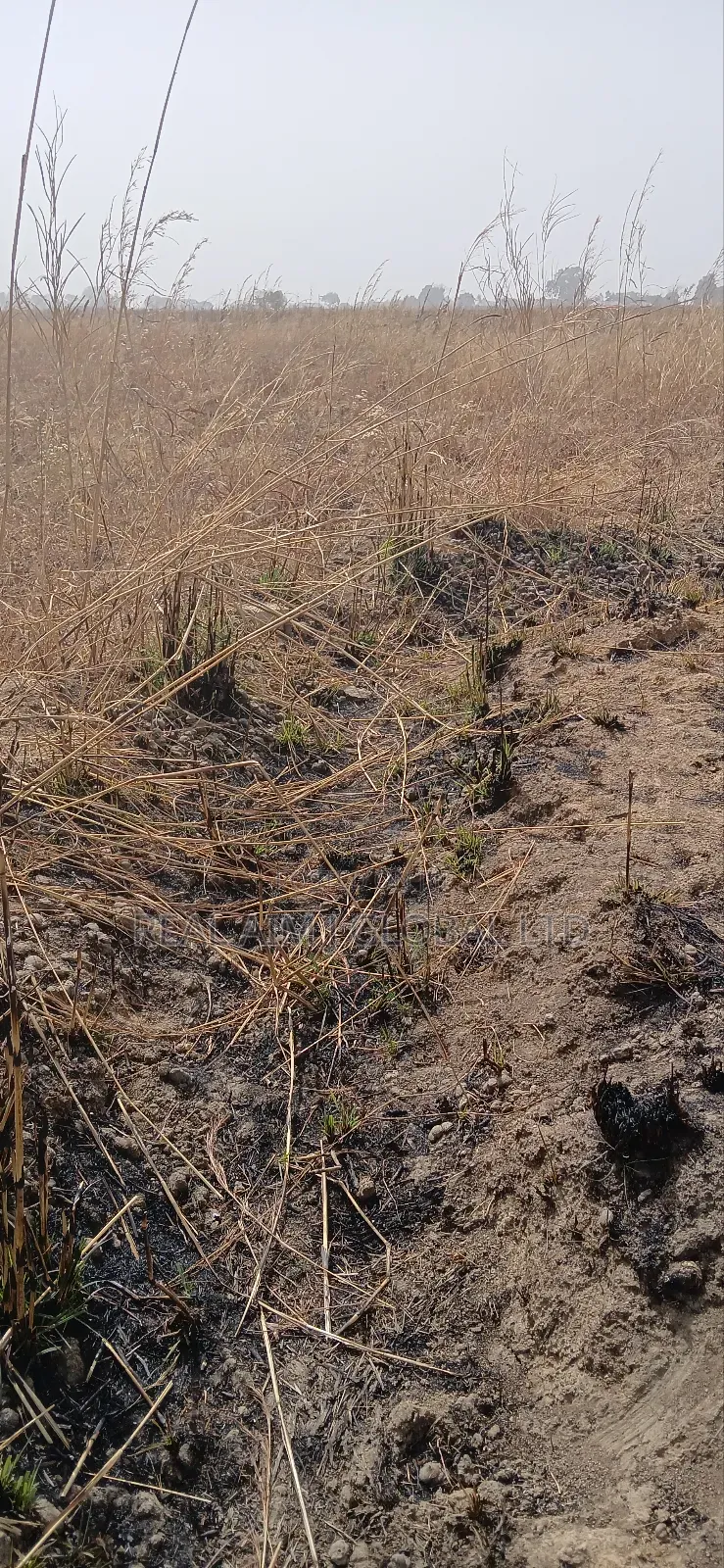 6 Plots of Land at Shen Beside Abegi Estate Jos South in Jos