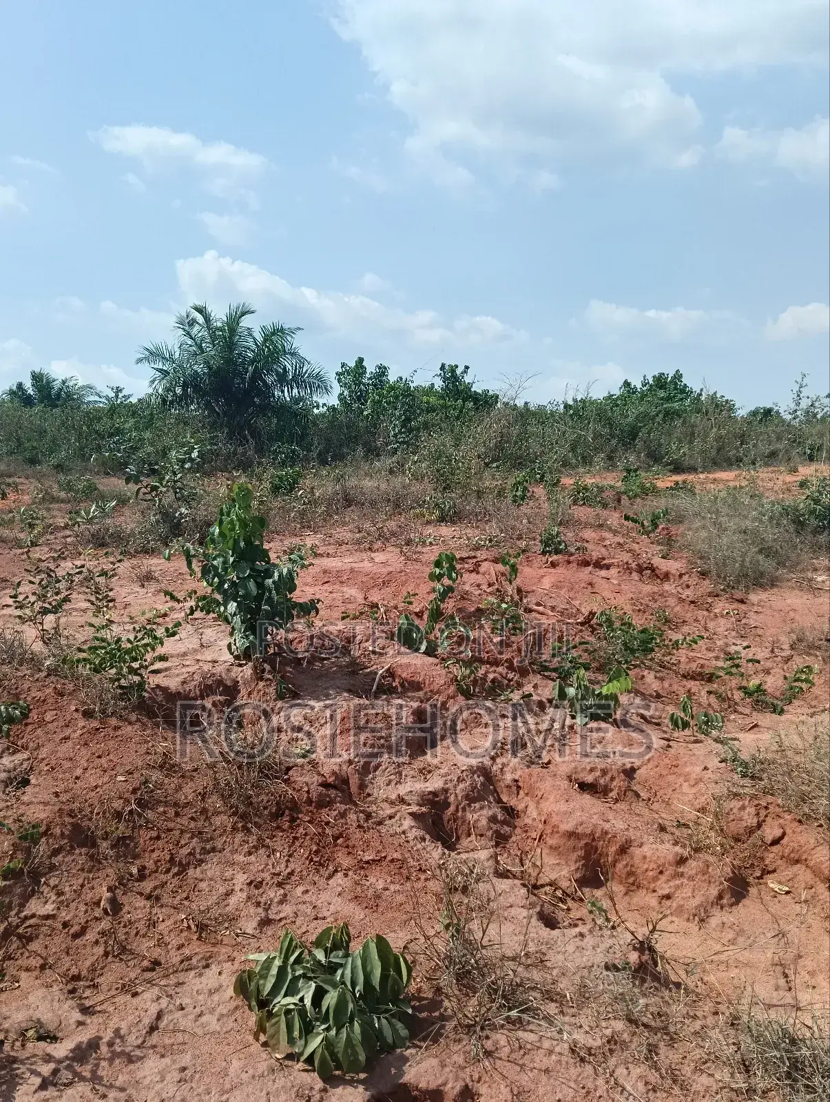 Genuine Land in Ogun State in Obafemi-Owode