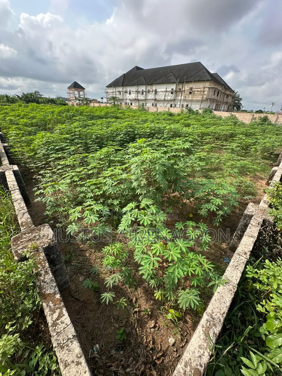 Land Measuring 100 By 200ft Along Benin Sapele Road in Benin City