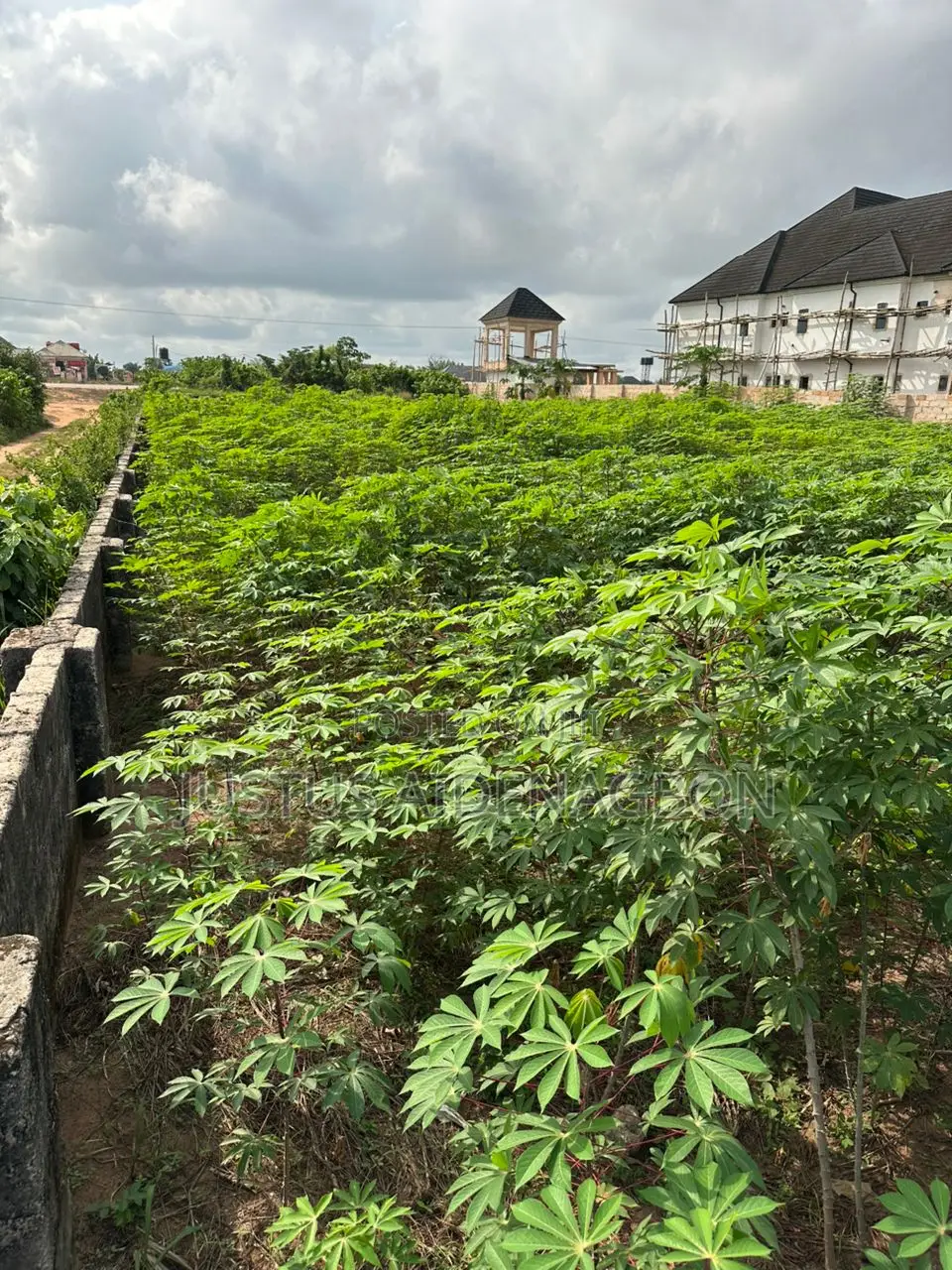 Land Measuring 100 By 200ft Along Benin Sapele Road in Benin City