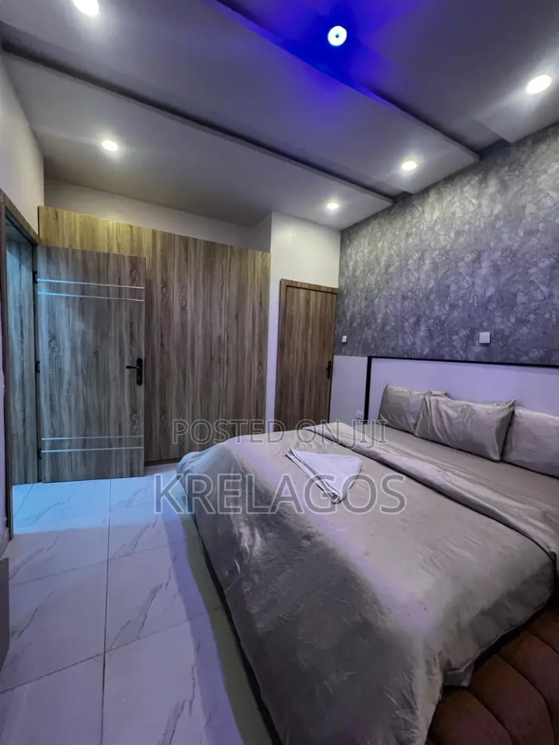 Furnished 2bdrm Apartment in Lekki Phase 1 for rent in Lekki Phase 1