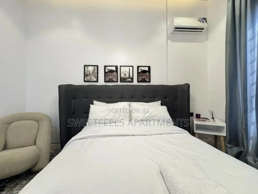 Spacious 3 Bedroom Luxury Apartment in Lekki in Lekki Phase 1