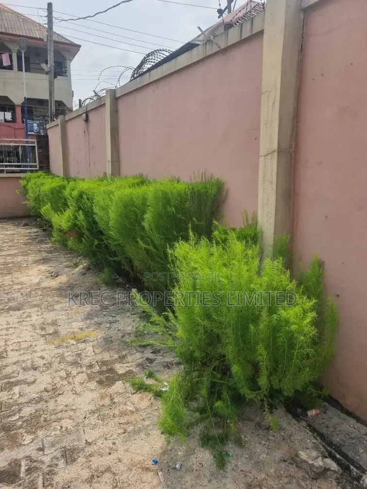 Deed of Conveyance at Eagle Island in Obio-Akpor