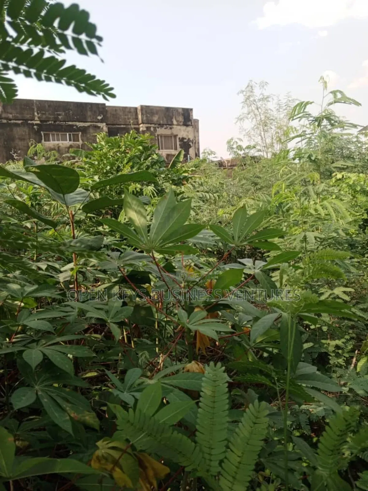 877sqm of Fully Fenced and Gated in Akala Express