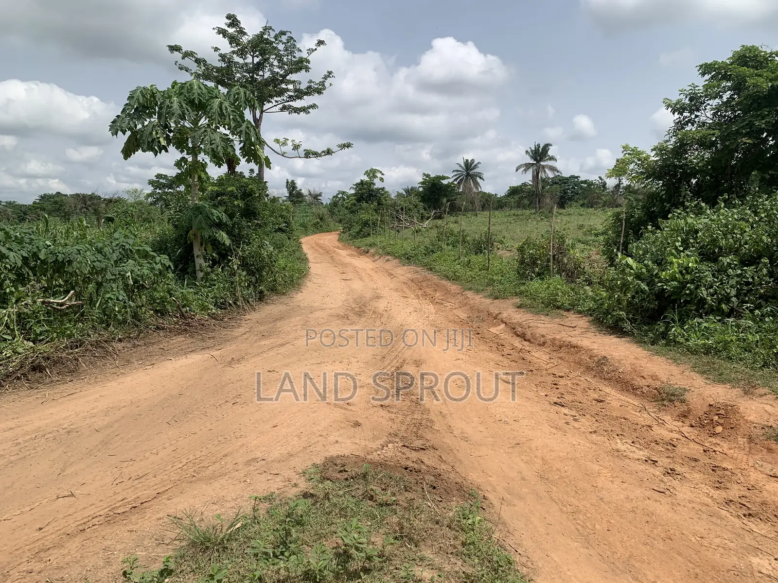 Affordable Land for Land Banking for Sale at Idi-Ayunre, Ibadan in Oluyole