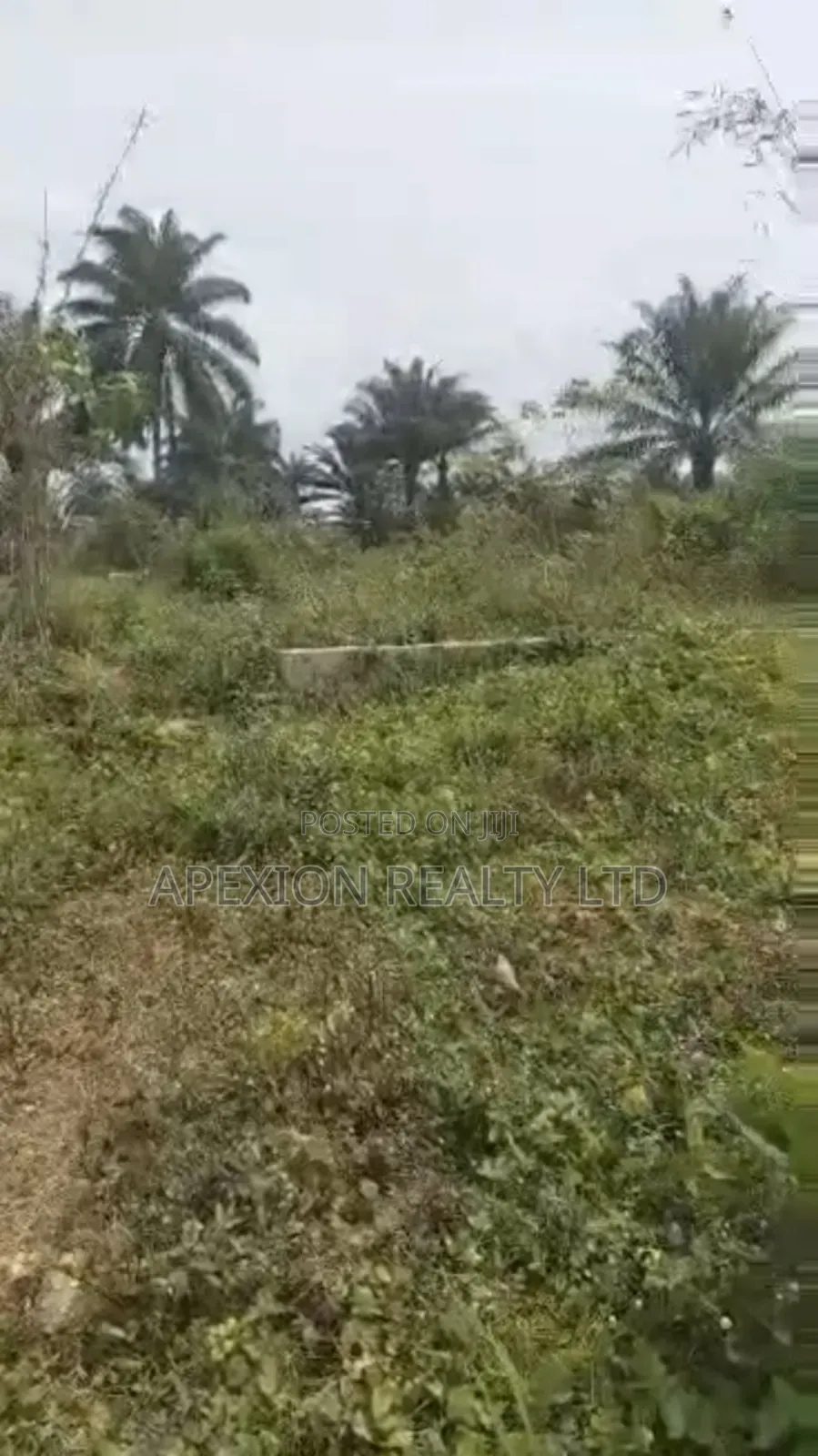 Land for Sale in Apo District