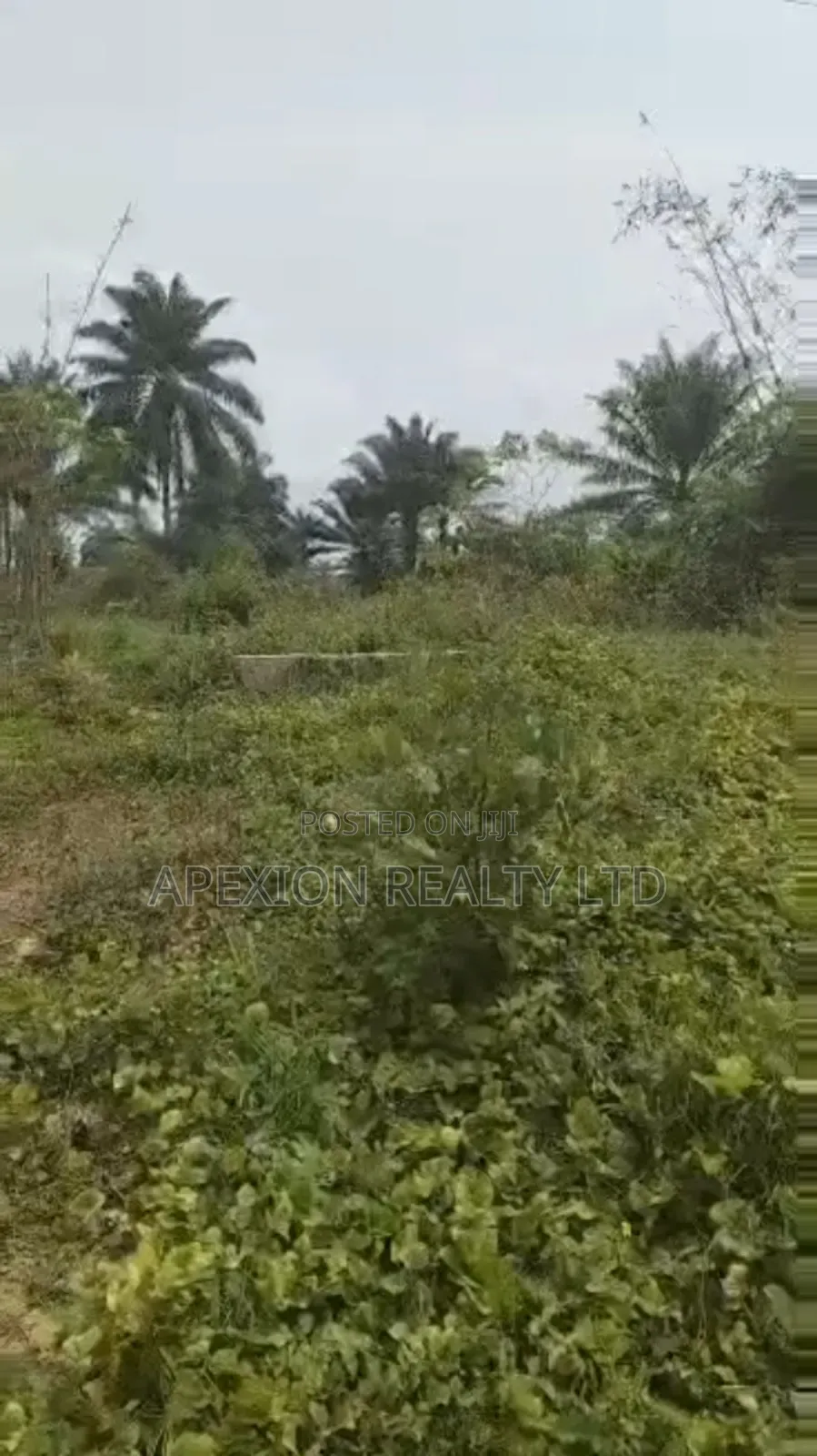 Land for Sale in Apo District
