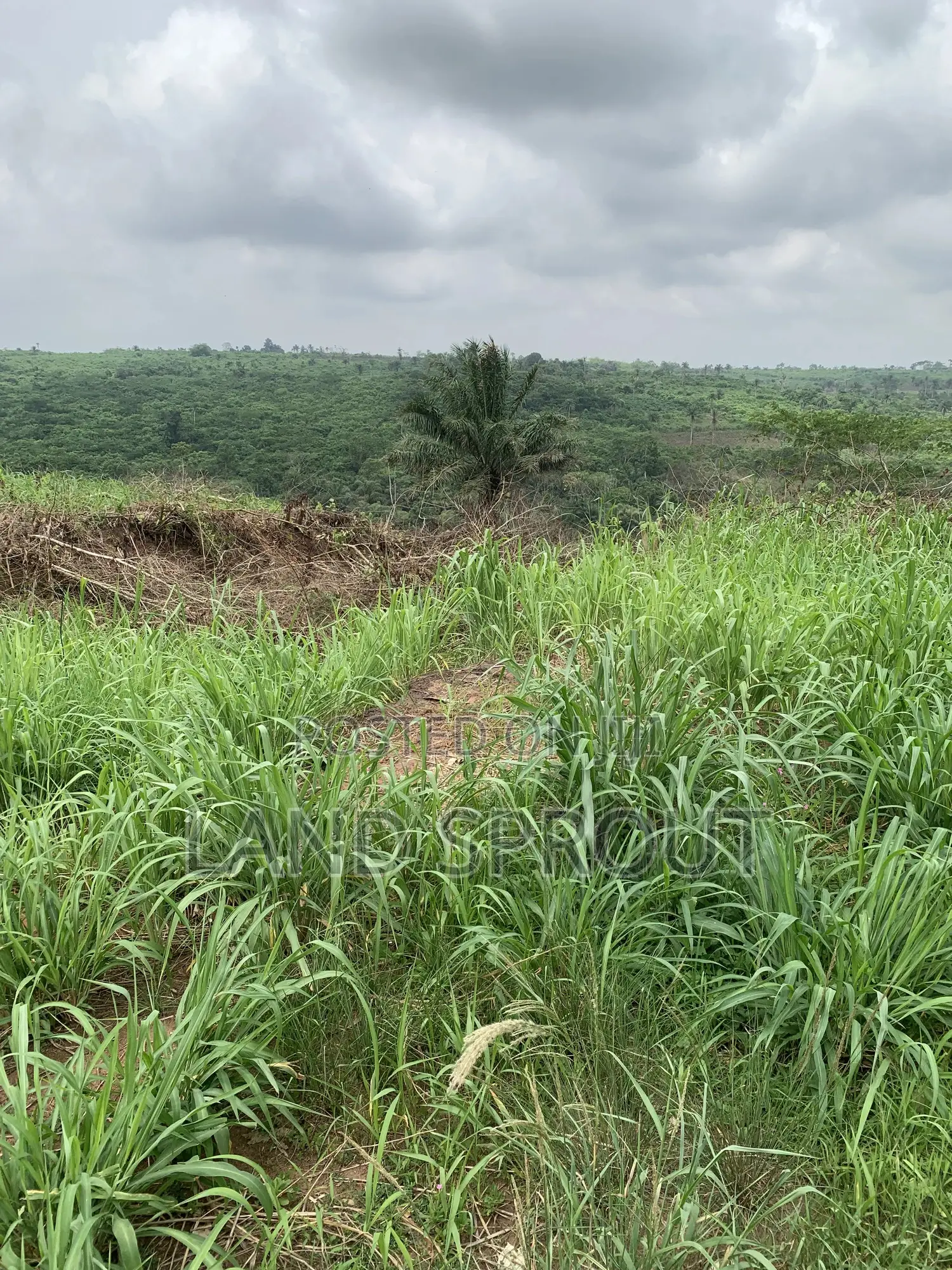 Acres of Farm Land at Obafemi-Owode for Per Acre in Obafemi-Owode