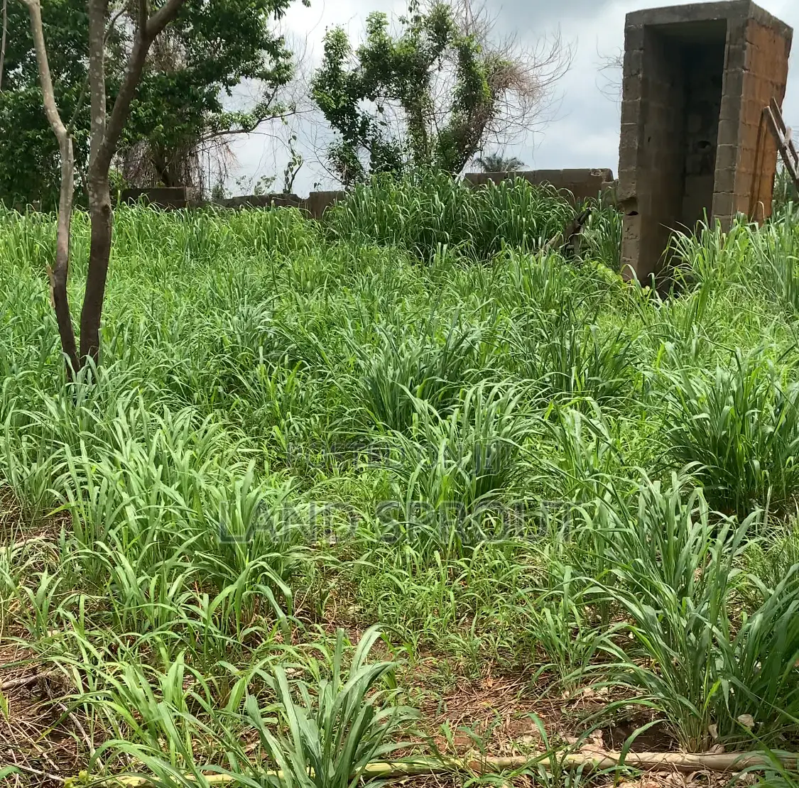 Acres of Farm Land at Obafemi-Owode for Per Acre in Obafemi-Owode