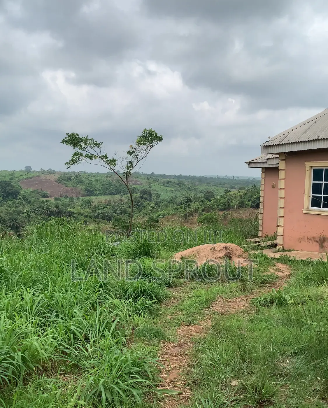 Acres of Farm Land at Obafemi-Owode for Per Acre in Obafemi-Owode