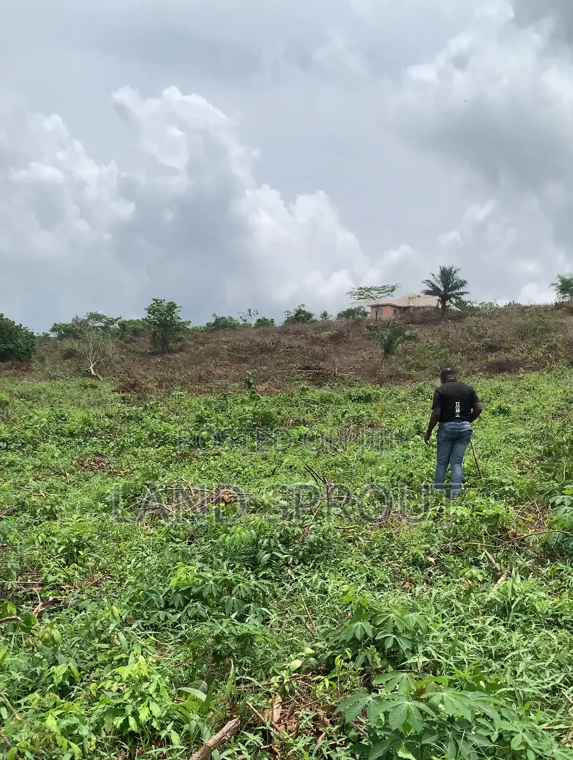 Acres of Farm Land at Obafemi-Owode for Per Acre in Obafemi-Owode