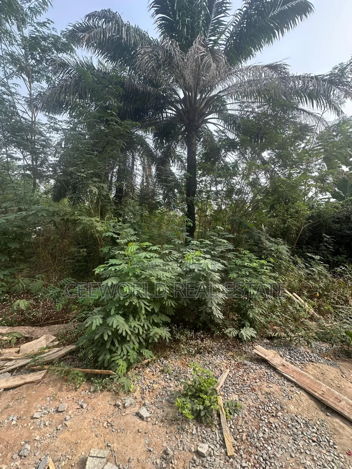 Jare Alade Close Jericho Idi Ishin*
*1611sqm Bare Land in Idishin