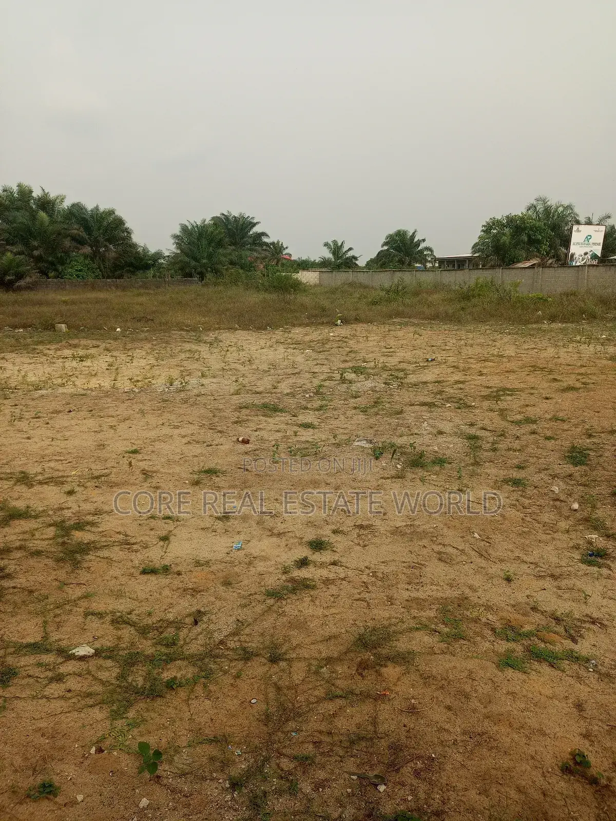 Mowe Ofada Genuine Land in Sagamu