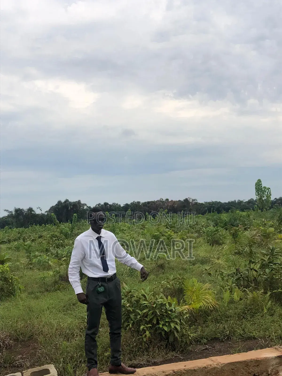 Inspect Land Today Before Prices Move. in Oshimili South