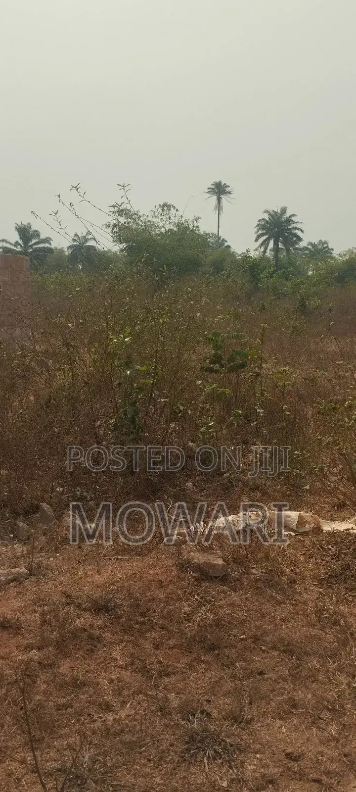 One Plot = Years of Rental Income in Aniocha South