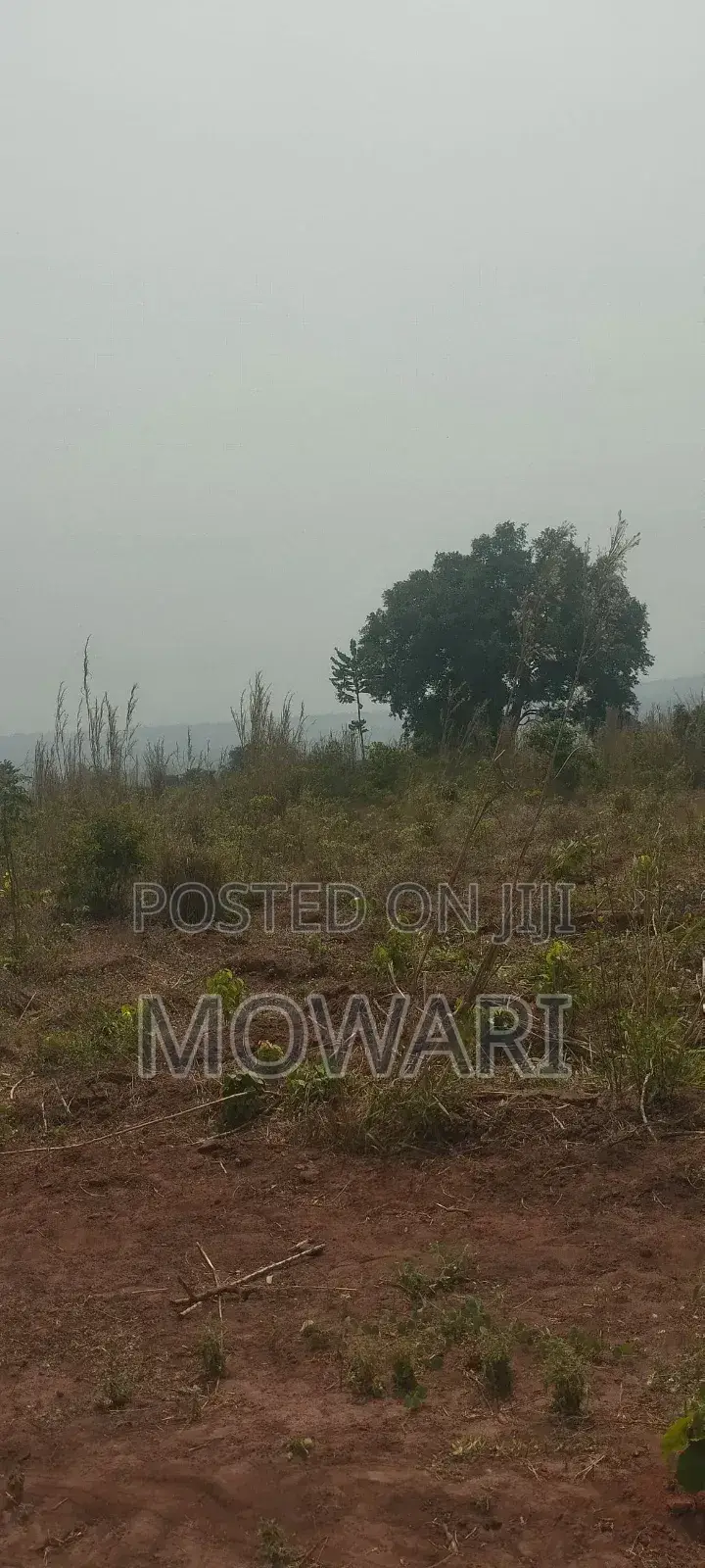One Plot = Years of Rental Income in Aniocha South