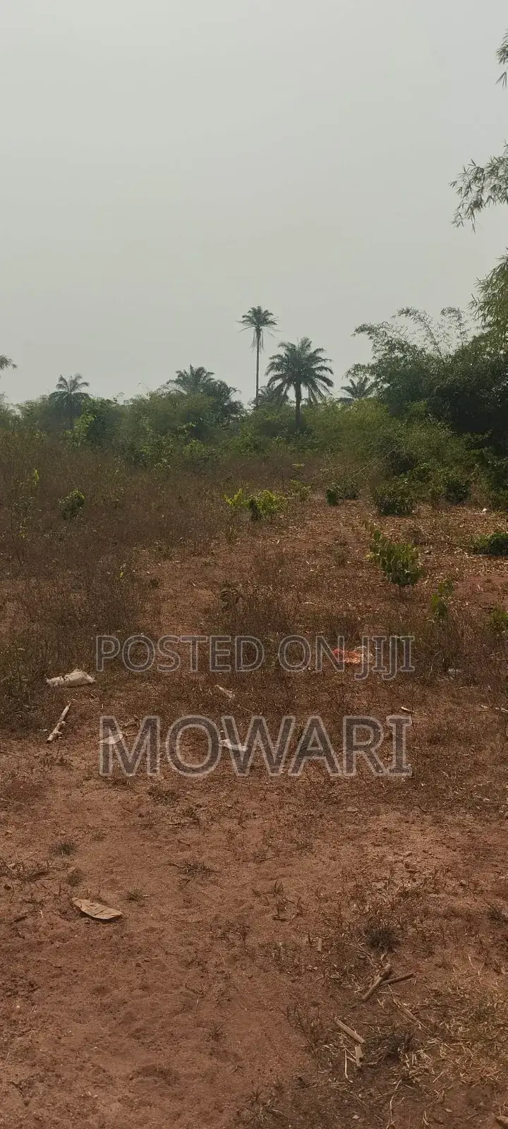 One Plot = Years of Rental Income in Aniocha South