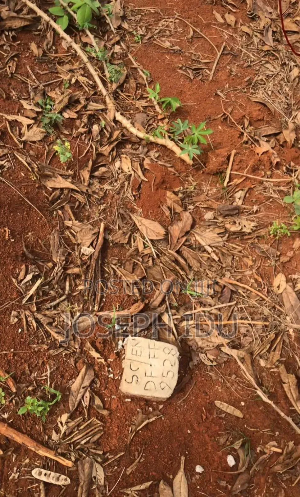 Land for Sale at Eziani Nsukka Enugu State in Nsukka