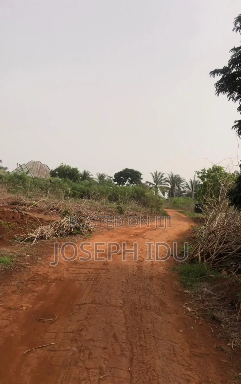 Land for Sale at Eziani Nsukka Enugu State in Nsukka