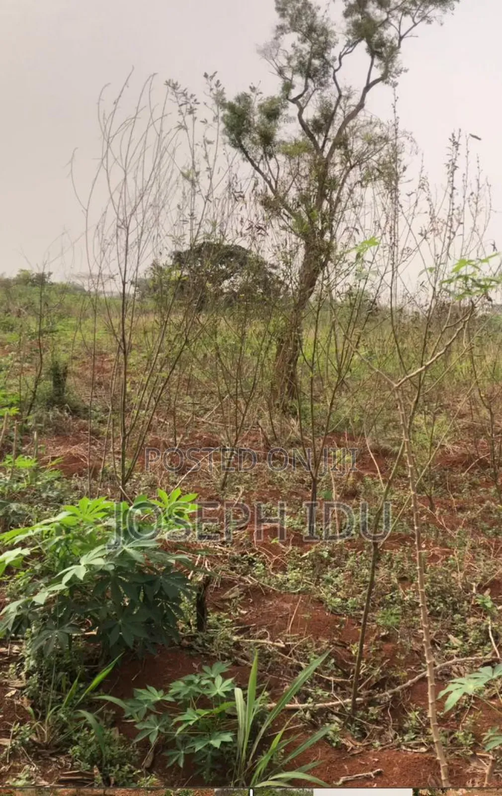 Land for Sale at Eziani Nsukka Enugu State in Nsukka