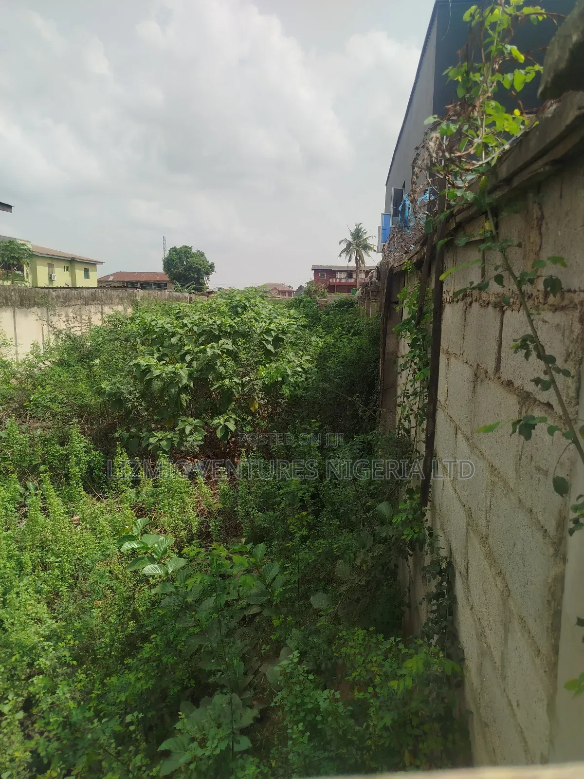 Virgin Land Facing the Road for Sale in Ikotun / Ikotun/Igando