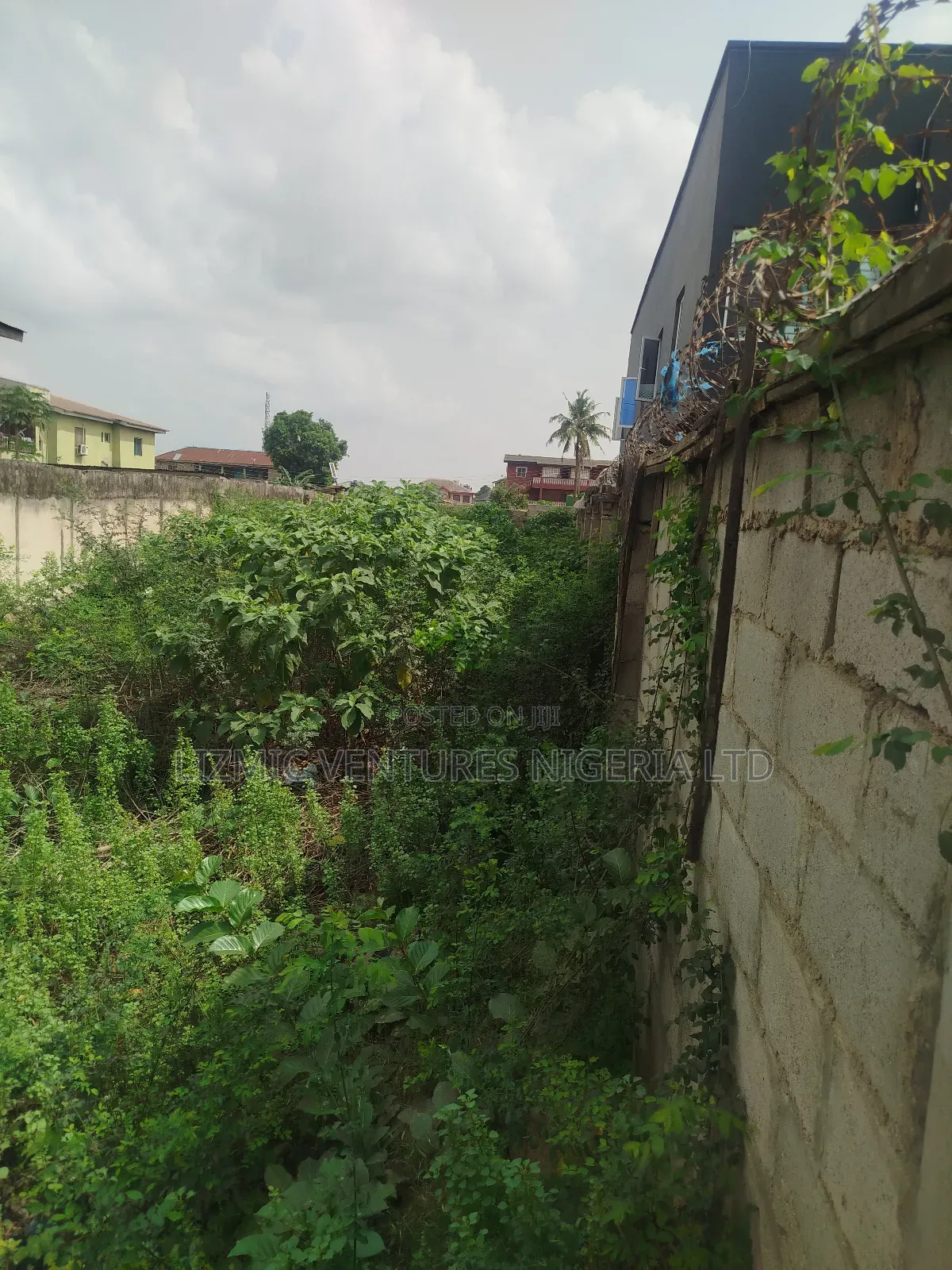 Virgin Land Facing the Road for Sale in Ikotun / Ikotun/Igando