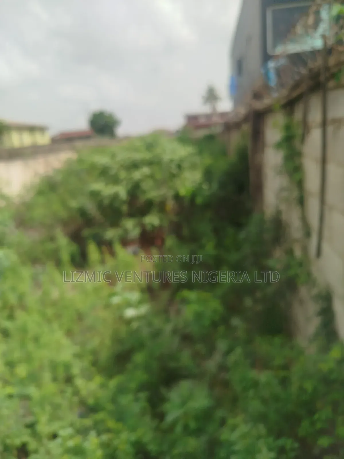 Virgin Land Facing the Road for Sale in Ikotun / Ikotun/Igando