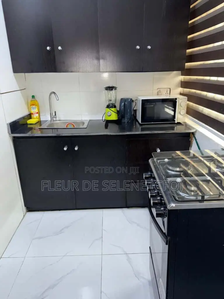 Service Apartment (One Bed)  in Lekki Phase 1