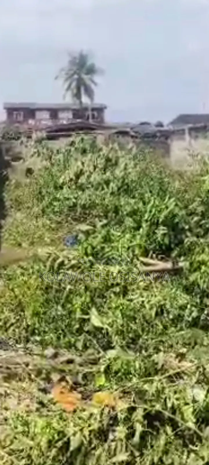 Commercial Half Plot of Land on Ikotun Igando Rd in Igando / Ikotun/Igando