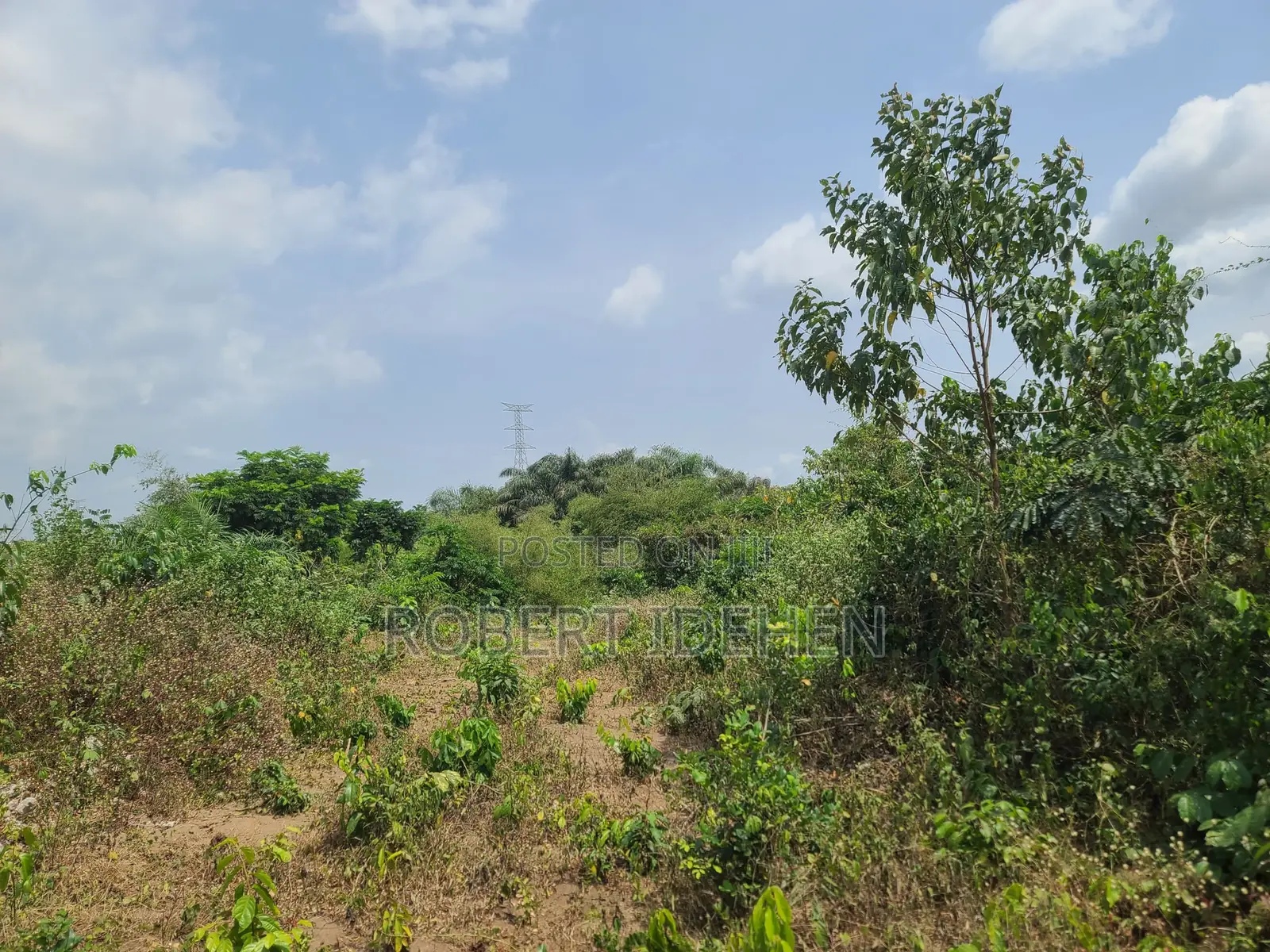 Pure Dry Land in Epe