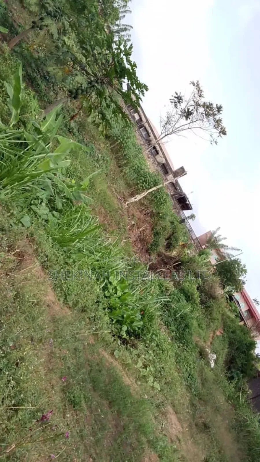 A Full Plot of Land in Ibadan