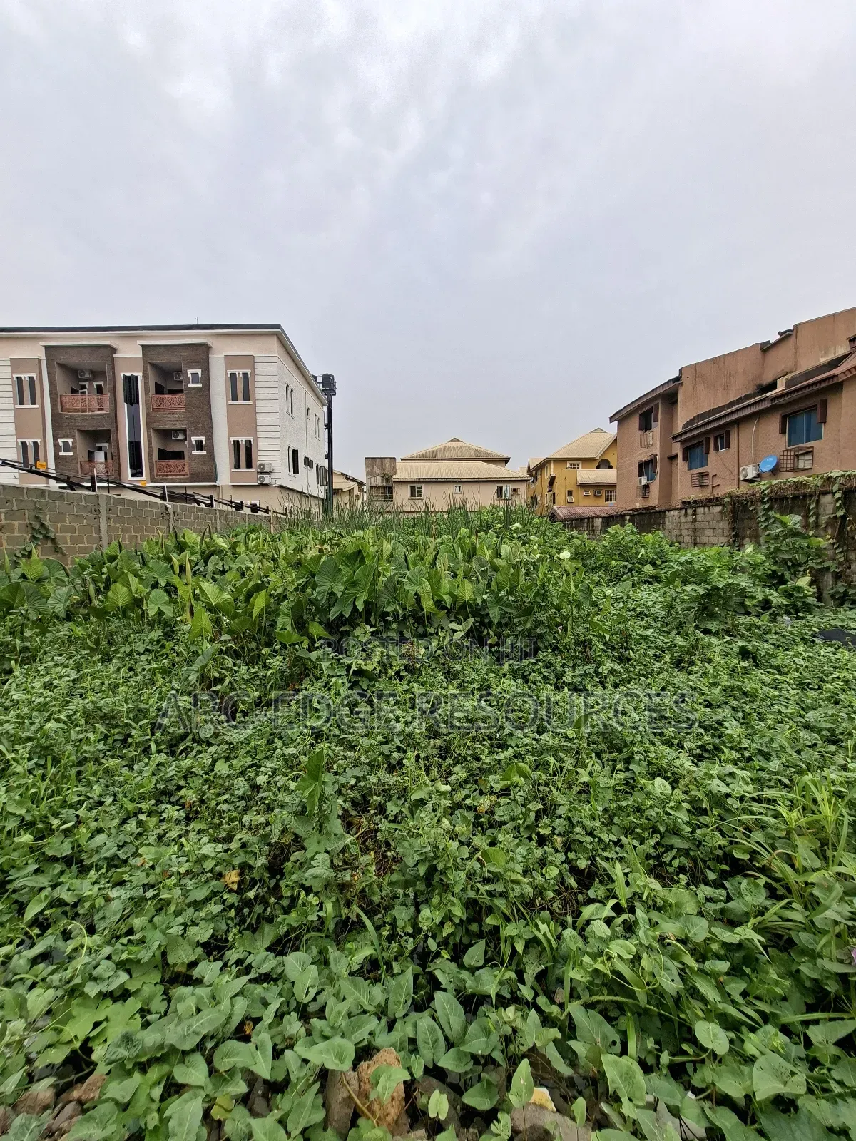 Standard Full Plot With Cofo in Ago Palace