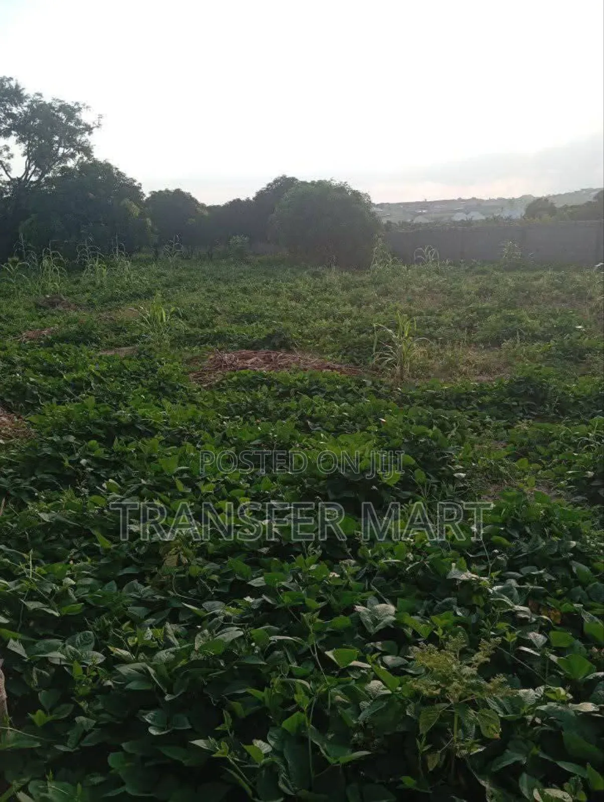 Behind Lape Estate After City College in Mararaba