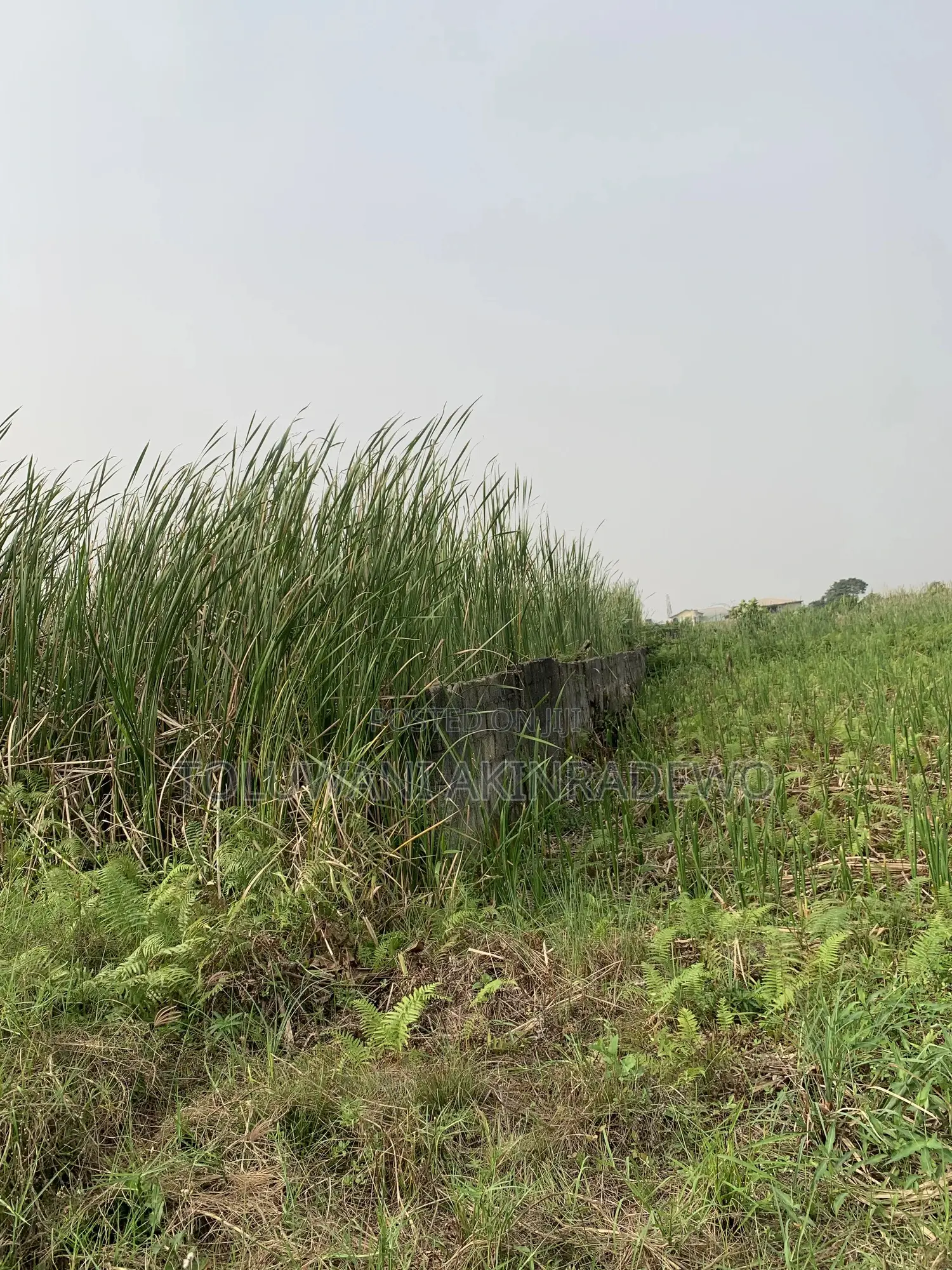 7plots of Land Available for Jv (Joint Venture) in Ogombo