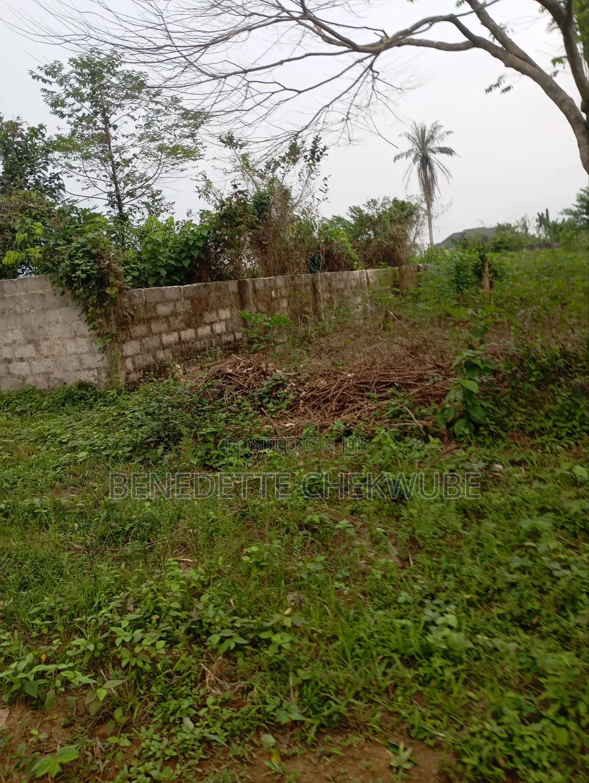 For Sale: Two Plots of Land in Port-Harcourt