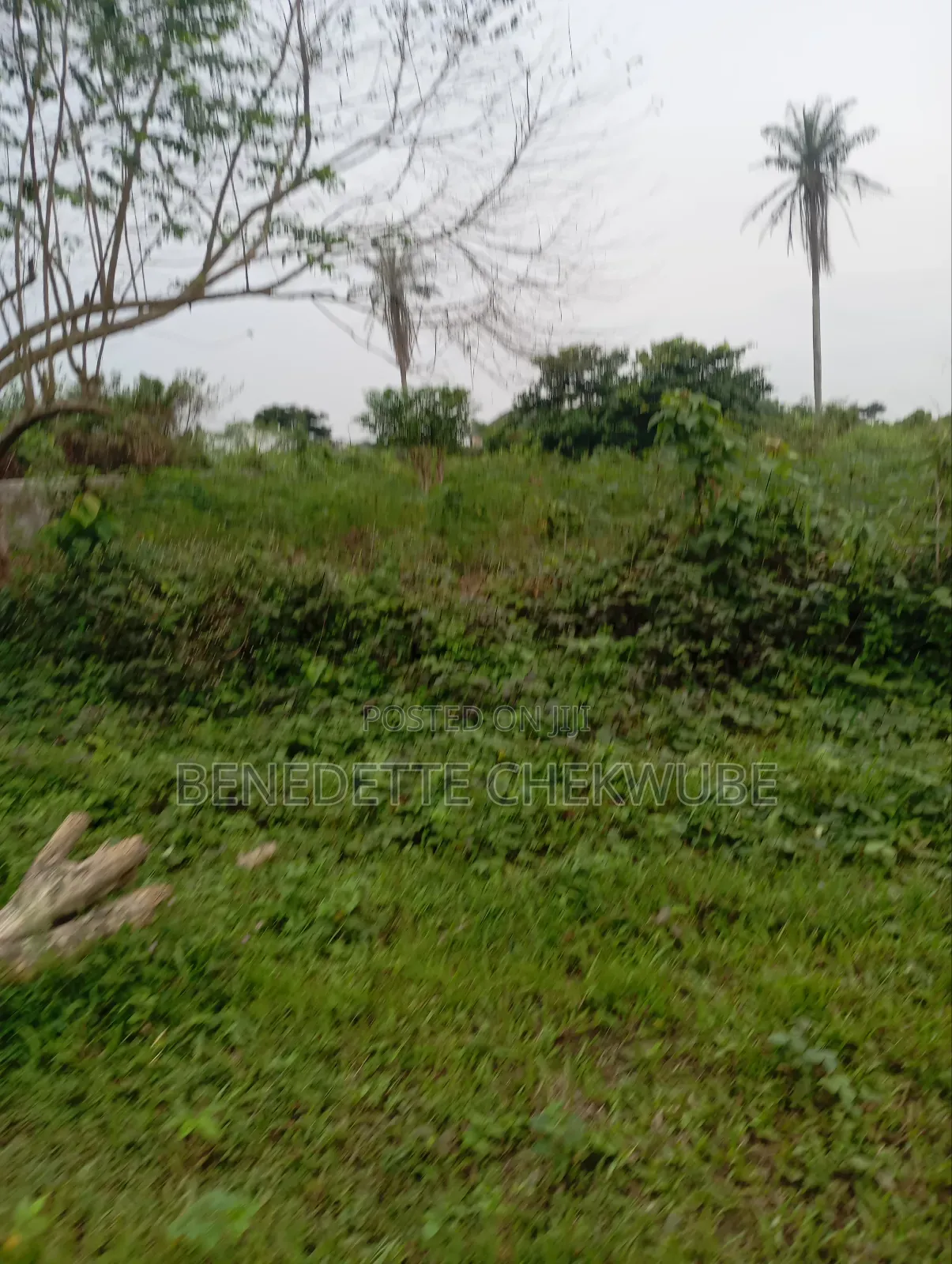 For Sale: Two Plots of Land in Port-Harcourt
