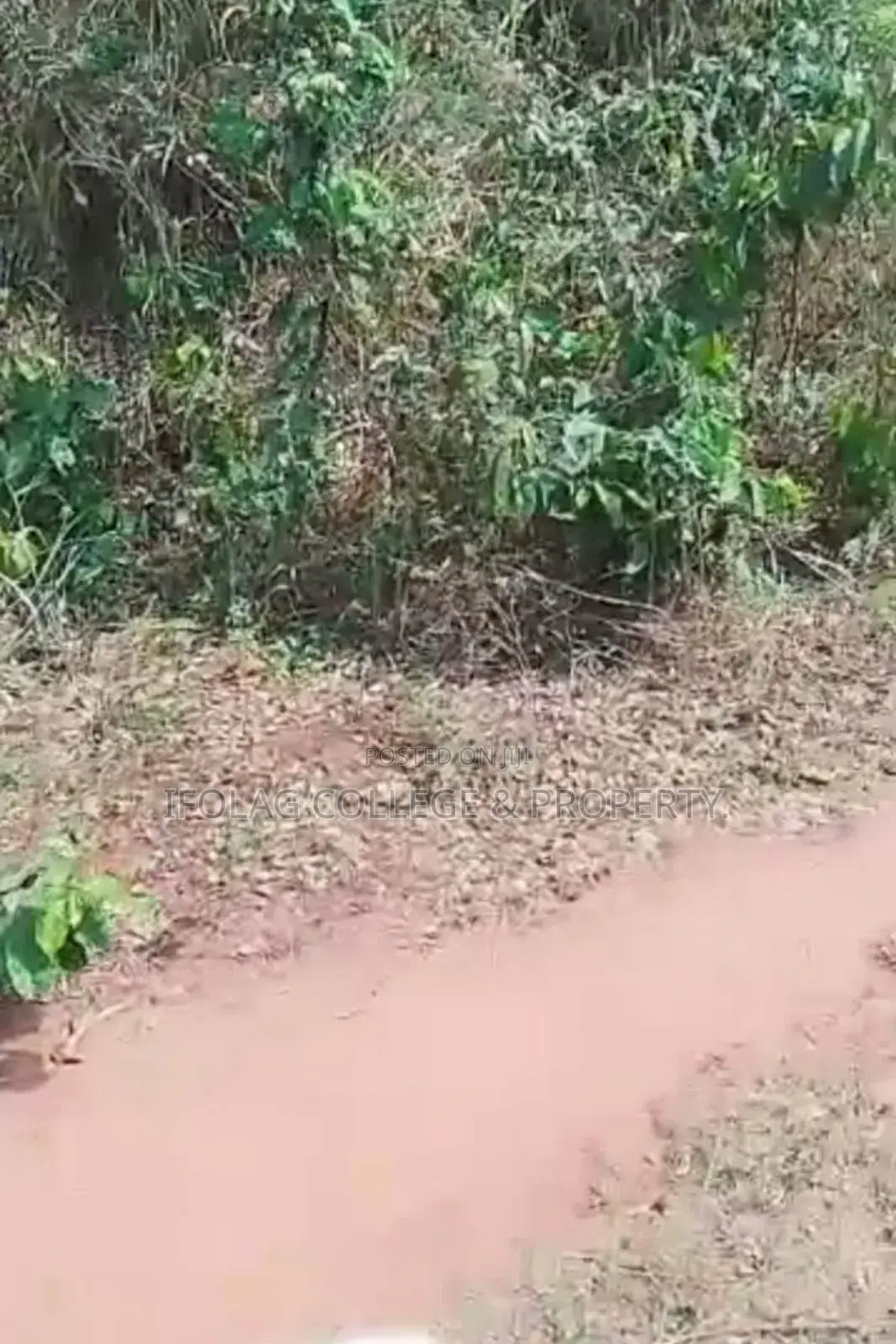 Land For Sale – Wasimi, Ogun State in Ewekoro